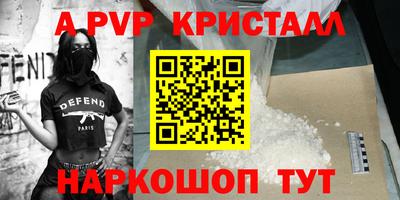 гашик Будённовск