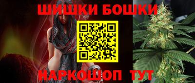 гашик Будённовск