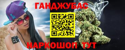 гашик Будённовск