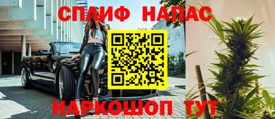 гашик Будённовск