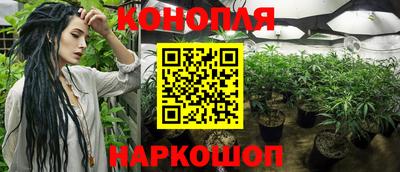 гашик Будённовск