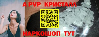 гашик Будённовск