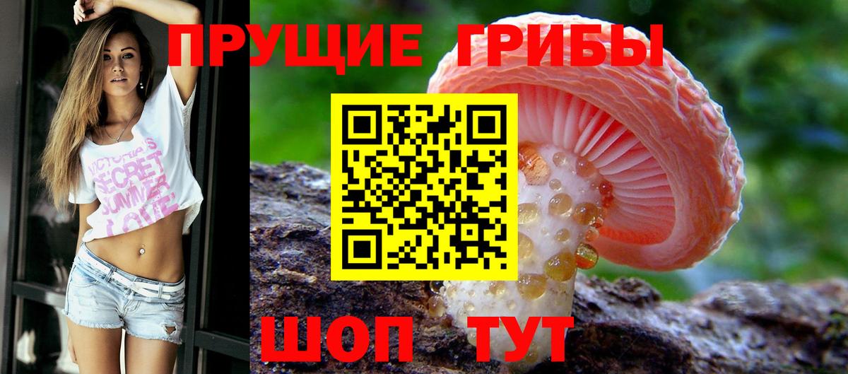 Псилоцибиновые грибы мицелий Краснодар