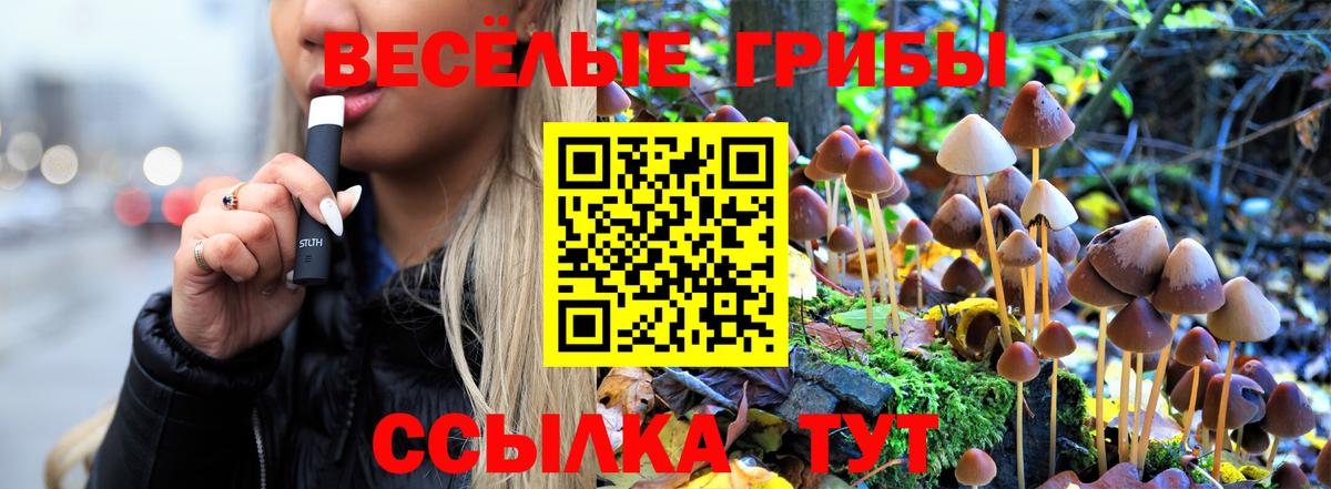 Галлюциногенные грибы Cubensis  Псилоцибиновые грибы GOLDEN TEACHER  Краснодар  купить   Вход с VPN 